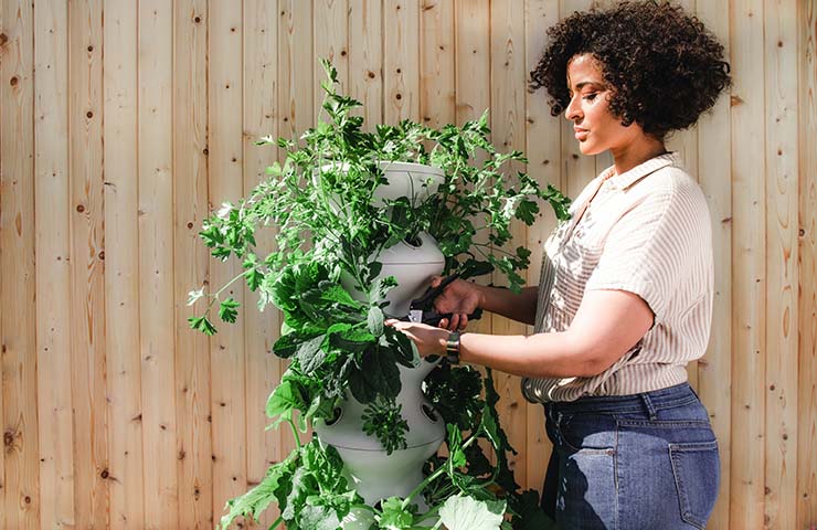 How to Cultivate the Best Influencer Partnerships Based on Organic Love