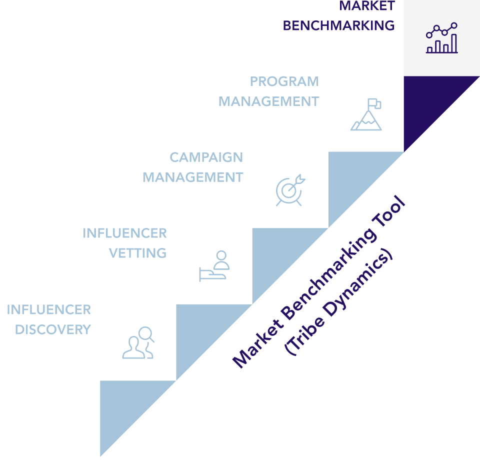Market Benchmarking Tool (Tribe Dynamics)